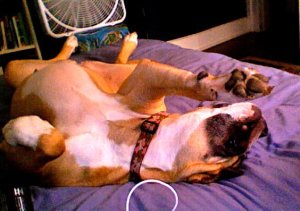 6493_1125389293692_1195934663_30314304_6932637_n