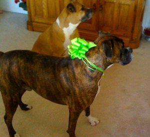 Up to some shenanigans with his original BFF, Bonnie.