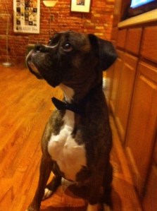 Always ready for a party.