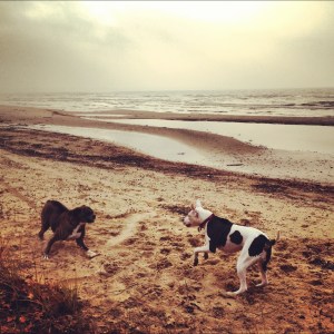 Just a few months ago, playing with his big little sister, Lois. 