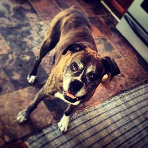 Gunshy, a month ago. Always smiling.