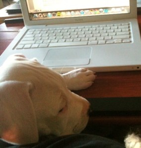 Censorship makes Baby Lois sad too. Girl's got to say what she's got to say. 