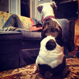 Mike, telling Lois stories from his tour. She gets it. 