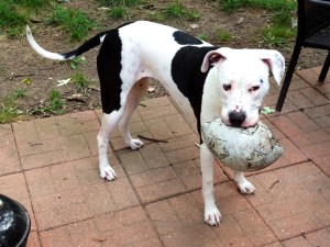 Lois arrives home with her new friend.