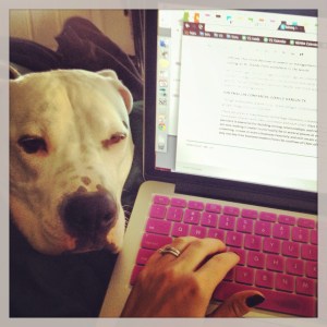 This is my regular work/life balance. Work on my right leg, life cuddling with my left. 