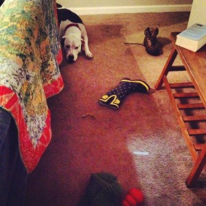 See how sad she is? Not sad enough to stop moving all of our shit to different places in the house, but still sad. 