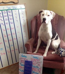 Lois models my whiteboard collection. I've tried writing tasks on her, but she doesn't erase as well.