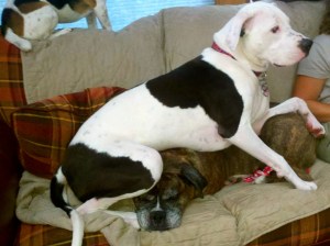 Some things are just unnecessary. 