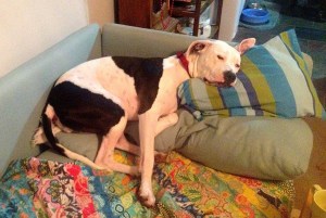 So many awesome things to do in the world. So many other pressing matters. 