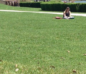 Do you know how hard it is to find a quiet spot to Skype   someone in Downtown Disney? My sunburned shoulders do.