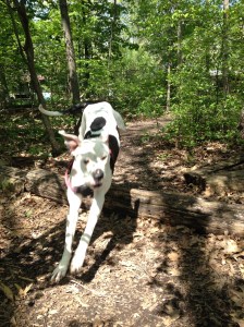 How is this not worth setting an alarm for every day?