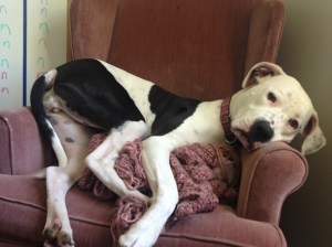 Lois lies to herself sometimes too.