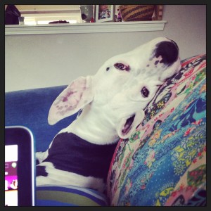 Lois demonstrates what viewing something from a new angle looks like. Thanks, Lois. 