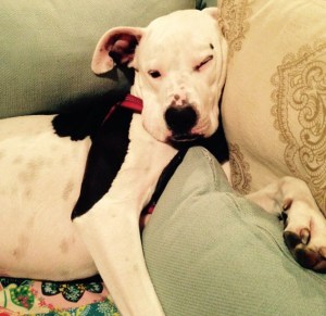 Lois and I have a lead a pretty spoiled, comfortable life. She spends less time worrying about that fact than I do.