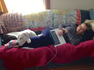 All good here! Promise.